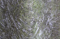 Fradley fibreglass roof work